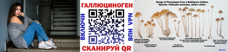 купить наркотики цена  darknet телеграм  Псилоцибиновые грибы Magic Shrooms  Тимашёвск 